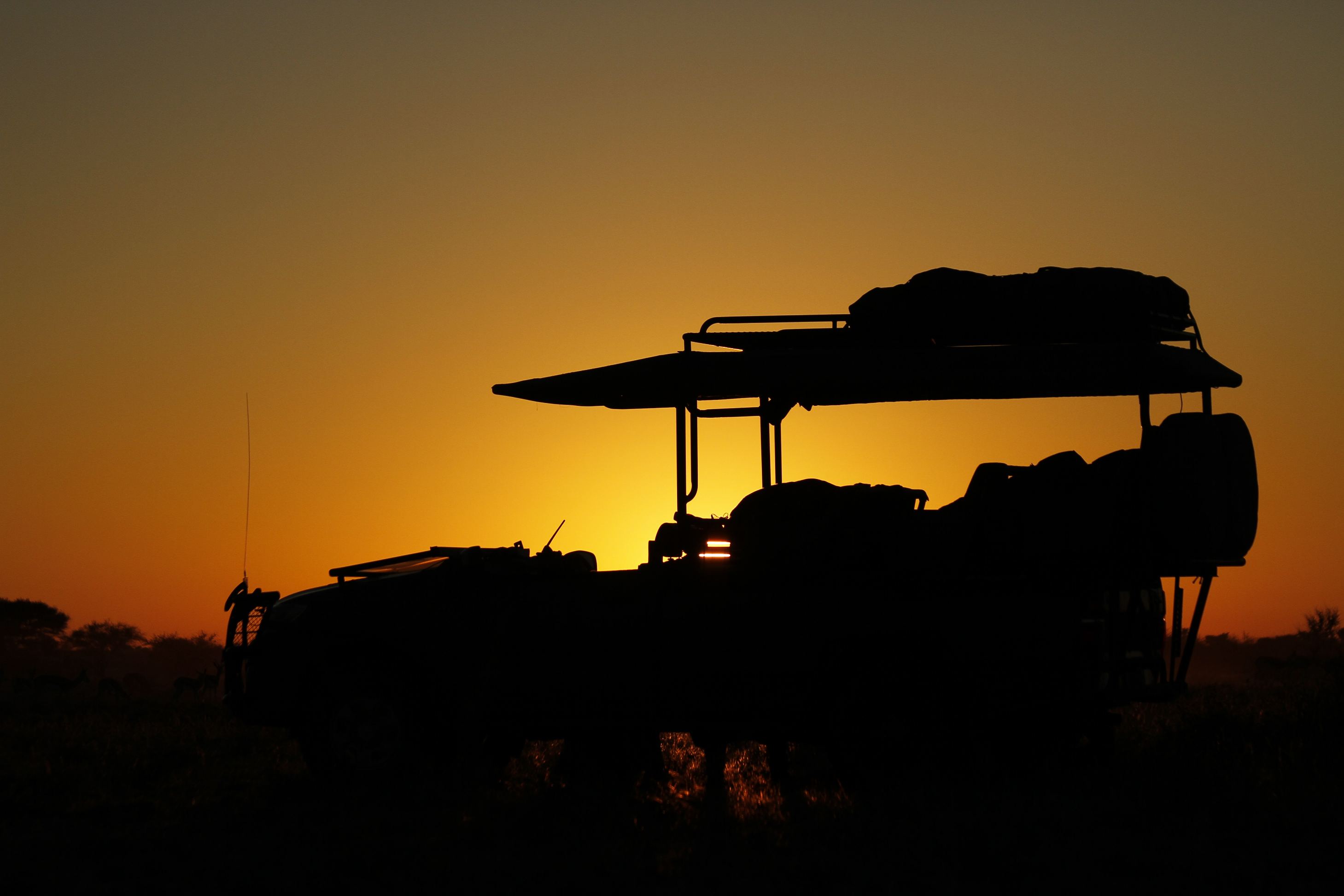 Bush rover safaris